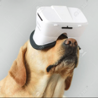 VRBytes