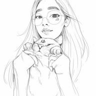 Marmotte