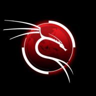 kali.donlinux