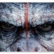 BigApe