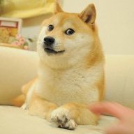 ShadyDoggo
