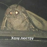 Don Electron