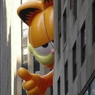 JDolan