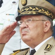 Sharkovdz