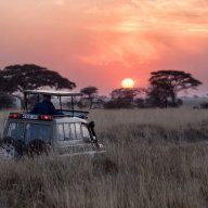 OnSafari