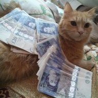 baig