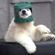 YeehawSeesaw