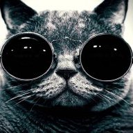 DummyCool