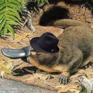 unrealplatypus