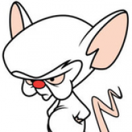 MightyMouse1124