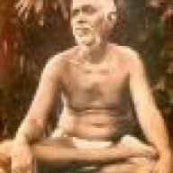theindiaphile