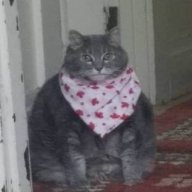 AidanMourn