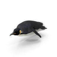 JCAB