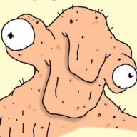 terryfolds