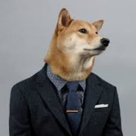 Misterdog
