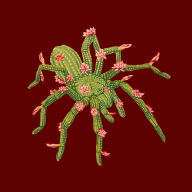 BasketWeaver