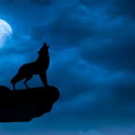 NnightWolfF