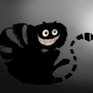 fippy_darkpaw