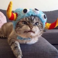goyangi