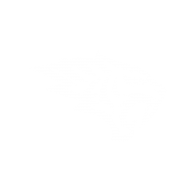 MrOlymp