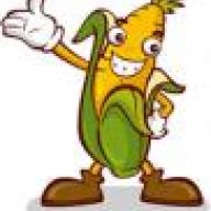 cornkernel
