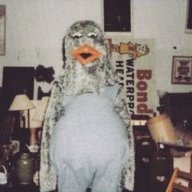 SPHLBasement