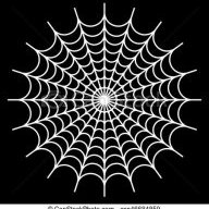 docspider