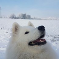 Zarkomo