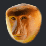 Goldenmonkey1