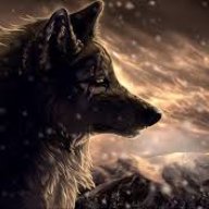 WolfDesk