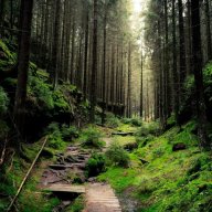deepforest
