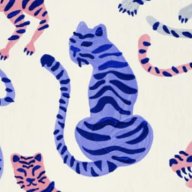 periwinkletiger