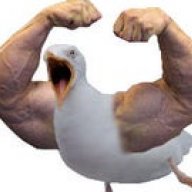mrseagull