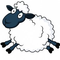 mrsheep88