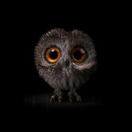 TheGeekOwl