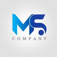 ms company