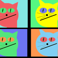 kitty0708