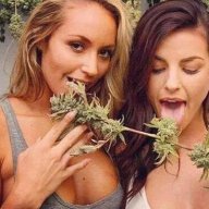 Luckycharm420