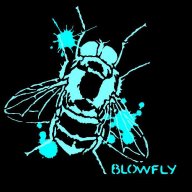 blowfly06