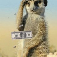 meerkatyourmoney