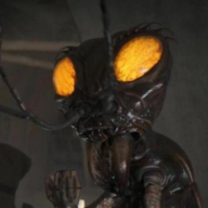 DrMandibles
