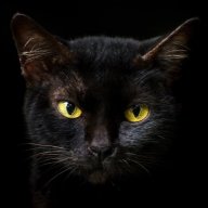 blackcat_0o0_