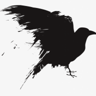Corvidae