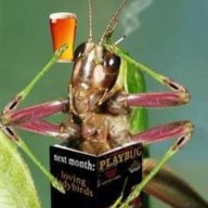 impatient_grasshopper