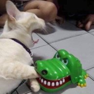 syrupslurper