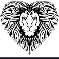 LionHeart12