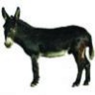 ZonkDonkey
