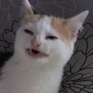 Bining
