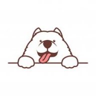 samoyed