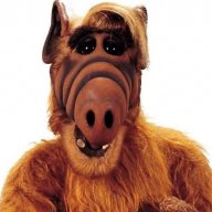 Alf85